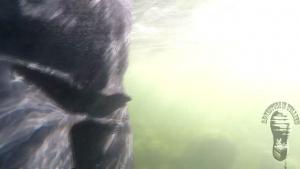 adventure-in-chestwaders_18.jpg