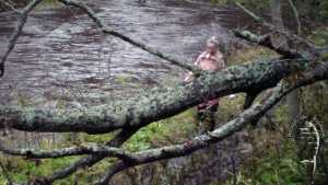 autumn-mud-playing_2.jpg