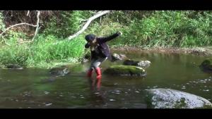 avlogas-rapids-walk-in-hun_18.jpg