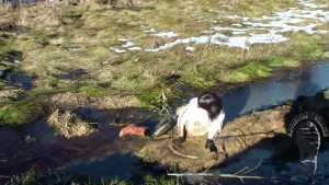 back-in-mud_10.jpg
