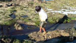 back-in-mud_11.jpg