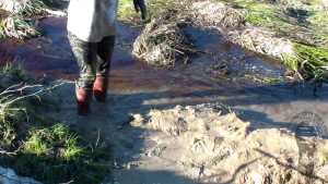 back-in-mud_14.jpg
