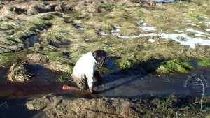 back-in-mud_21.jpg
