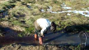 back-in-mud_23.jpg