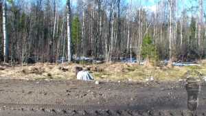 back-in-mud_3.jpg