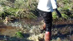 back-in-mud_4.jpg