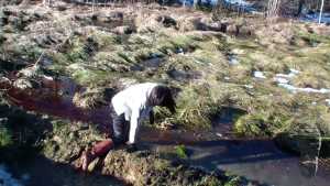 back-in-mud_6.jpg