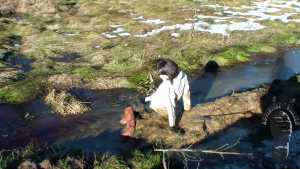 back-in-mud_9.jpg