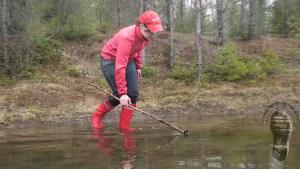 brook-is-searching-for-wet-adv_3.jpg