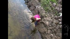 brook-with-clay-banks_16.jpg