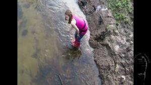 brook-with-clay-banks_18.jpg