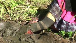 dirty-walk-in-the-forest_10.jpg