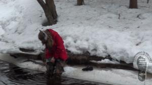 exploring-the-river-banks-in-w_12.jpg