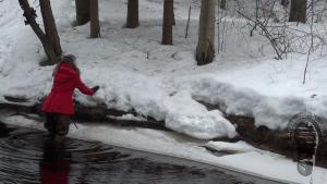 exploring-the-river-banks-in-w_15.jpg