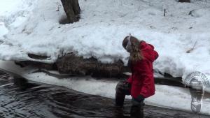 exploring-the-river-banks-in-w_2.jpg