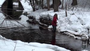 exploring-the-river-banks-in-w_22.jpg