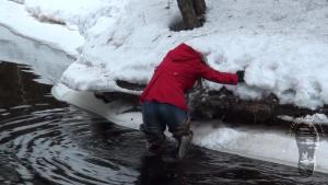 exploring-the-river-banks-in-w_4.jpg