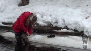 exploring-the-river-banks-in-w_8.jpg