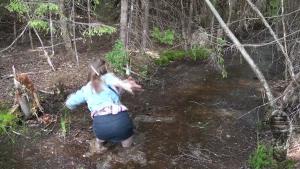 forest-adventures-in-thick-mud_19.jpg