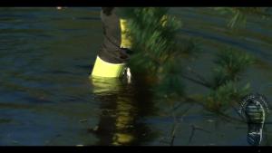 forest-lake-bathing_11.jpg
