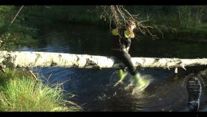 forest-lake-bathing_12.jpg