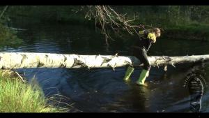 forest-lake-bathing_13.jpg