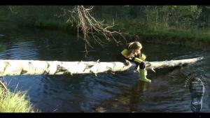 forest-lake-bathing_14.jpg