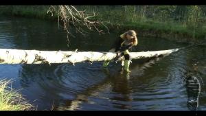 forest-lake-bathing_16.jpg