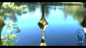 forest-lake-bathing_18.jpg