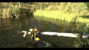 forest-lake-bathing_22.jpg