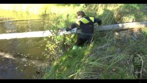 forest-lake-bathing_24.jpg
