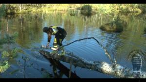 forest-lake-bathing_4.jpg