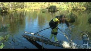 forest-lake-bathing_5.jpg