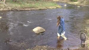 fun-on-a-muddy-slope_3.jpg