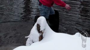 good-mud-and-cold-water_17.jpg