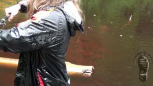 great-wam-fishing-in-green-wad_22.jpg
