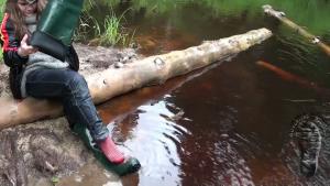 great-wam-fishing-in-green-wad_24.jpg