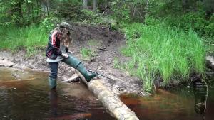 great-wam-fishing-in-green-wad_3.jpg