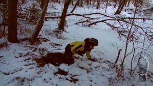 ice-extreme_2.jpg