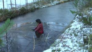 ice-show-ice-and-water-advent_18.jpg