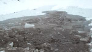 icy-queen-in-snowy-puddle_24.jpg