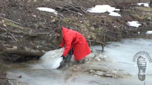 in-search-of-mud-part-1_9.jpg