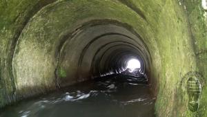in-the-water-tunnel_17.jpg