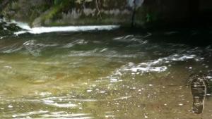 in-the-water-tunnel_2.jpg