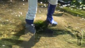 in-the-water-tunnel_9.jpg