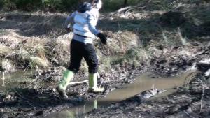 jolly-and-muddy-evening_1.jpg