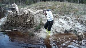 jolly-and-muddy-evening_15.jpg