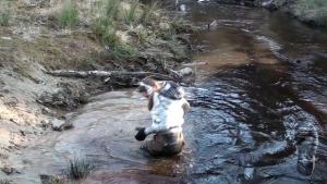 jolly-and-muddy-evening_21.jpg