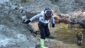jolly-and-muddy-evening_23.jpg