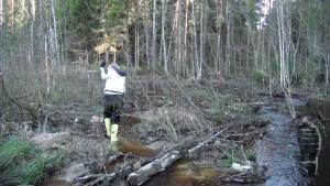 jolly-and-muddy-evening_24.jpg
